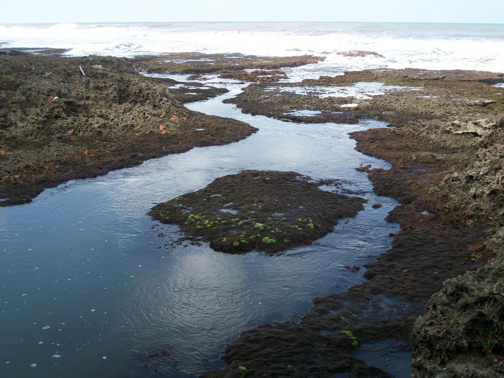 Piscina Natural On The Sea Cahuita Exterior foto