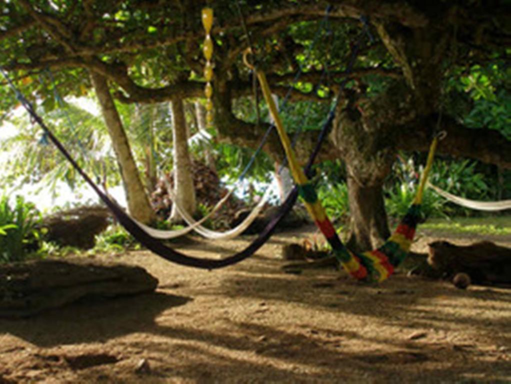 Piscina Natural On The Sea Cahuita Exterior foto