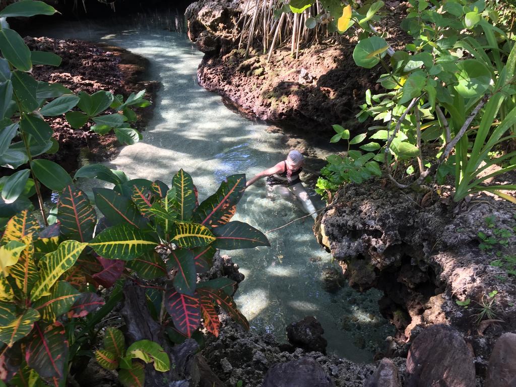 Piscina Natural On The Sea Cahuita Exterior foto