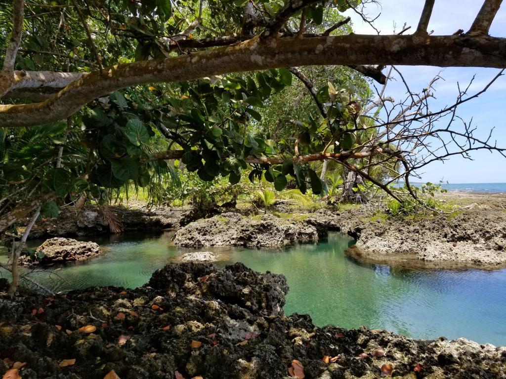 Piscina Natural On The Sea Cahuita Exterior foto