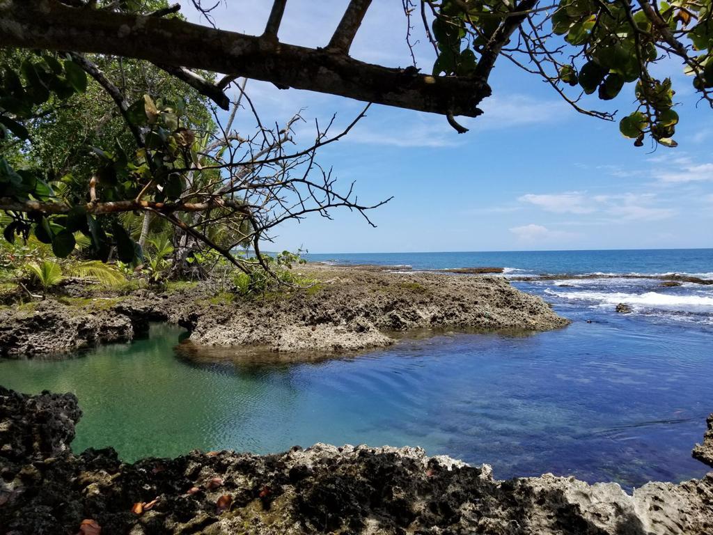 Piscina Natural On The Sea Cahuita Exterior foto