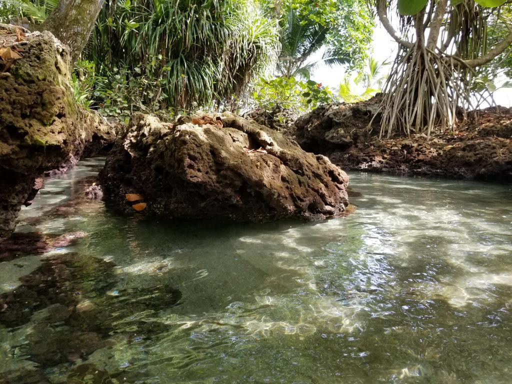 Piscina Natural On The Sea Cahuita Exterior foto